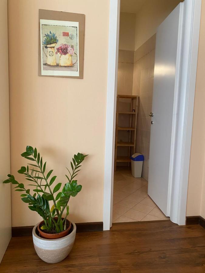 Sogni E Colori Bed and Breakfast Villanova d'Albenga Εξωτερικό φωτογραφία